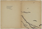 Artist: b'Teague, Violet.' | Title: b'not titled [tree branch].' | Date: 1905 | Technique: b'woodcut, printed in colour in the Japanese manner, from two blocks' | Copyright: b'\xc2\xa9 Violet Teague Archive, courtesy Felicity Druce'