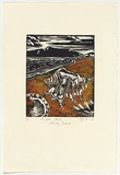 Artist: Eglitis, Anna. | Title: Midden shells, Stanley Island. | Date: 1993 | Technique: linocut, printed in black and oragange ink, from one block