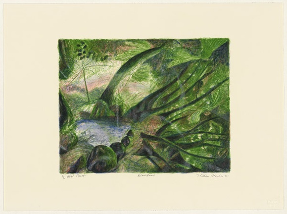 Artist: b'Robinson, William.' | Title: b'Rainforest' | Date: 1992 | Technique: b'lithograph, printed in colour, from five stones'