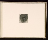 Artist: b'Mann, Gillian.' | Title: b'(Female lower torso).' | Date: 1981 | Technique: b'etching, printed in black ink, from one plate'