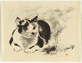 Artist: Thorpe, Lesbia. | Title: not titled [cat] | Date: 1984 | Technique: lithograph, printed in black ink, from one stone