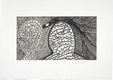 Artist: b'Cherel, Kumanjayi (Butcher).' | Title: b'Ant beds and fallen stick' | Date: 1995, October-November | Technique: b'etching, printed in black ink, from one plate'