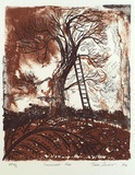Artist: b'Jones, Tim.' | Title: bSamuel's tree | Date: 1995, April - May | Technique: b'lithograph, printed in colour, from two stones'