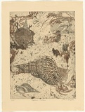 Artist: b'GRIFFITH, Pamela' | Title: bNeptune's triton | Date: 1981 | Technique: b'etching, aquatint, spray resist, marbelling printed in colour from two zinc plates' | Copyright: b'\xc2\xa9 Pamela Griffith'