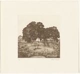 Artist: Baxter, Paul. | Title: Tree. | Date: 1988 | Technique: etching, printed in brown ink with plate-tone, from one plate