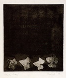 Artist: SHEARER, Mitzi | Title: Variation on a theme (II) | Date: 1978 | Technique: etching, printed in brown/black ink, from one  plate