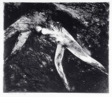 Artist: b'BOYD, Arthur' | Title: b'Dark joined figures.' | Date: (1962-63) | Technique: b'etching and aquatint, printed in black ink, from one plate' | Copyright: b'Reproduced with permission of Bundanon Trust'