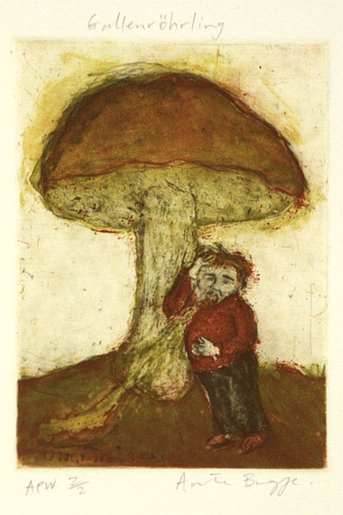 Artist: b'Bragge, Anita.' | Title: b'Gallenr\xc3\xb6hrling' | Date: 1999, September | Technique: b'etching, drypoint and aquatint, printed in colour, from multiple plates'