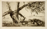 Artist: b'LINDSAY, Lionel' | Title: b'Burden and heat of the day' | Date: 1938 | Technique: b'etching and aquatint, printed in brown ink, from one plate' | Copyright: b'Courtesy of the National Library of Australia'