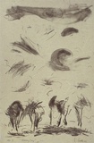 Artist: Trenfield, Wells. | Title: Breezy day | Date: 1983 | Technique: lithograph, printed in black ink, from one stone