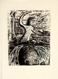 Artist: Insch, Bill. | Title: The Guardian. | Date: 1988 | Technique: photo-lithograph, printed in black ink, from a woodcut