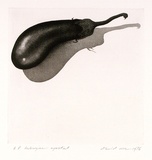 Artist: b'Rose, David.' | Title: b'Aubergine aquatint' | Date: 1976 | Technique: b'aquatint and etching, printed in black ink, from one plate'