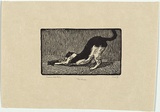 Artist: b'LINDSAY, Lionel' | Title: b'The cat' | Date: 1922 | Technique: b'wood-engraving, printed in black ink, from one block' | Copyright: b'Courtesy of the National Library of Australia'