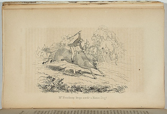 Artist: b'Ham Brothers.' | Title: b'Mr Neuchamp drops across a native dog.' | Date: 1851 | Technique: b'engraving, printed in black ink, from one copper plate'