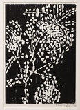 Artist: Grey-Smith, Guy | Title: Karri forest foliage | Date: 1975 | Technique: woodcut, printed in black ink, from one block