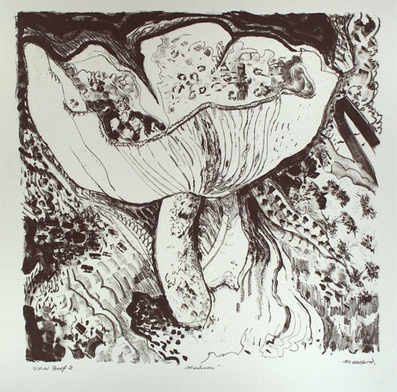 Artist: b'Hillard, Merris.' | Title: b'Mushroom' | Date: c.1986 | Technique: b'lithograph, printed in black ink, from one stone'
