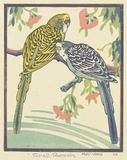 Artist: Voke, May. | Title: Shell parrots | Date: 1933 | Technique: linocut, printed in colour, from mutliple blocks