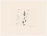 Artist: b'MOSS, Damian' | Title: b'Trees 4' | Date: 2004 | Technique: b'etching, printed in black ink, from one plate'