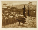 Artist: b'LINDSAY, Lionel' | Title: b'Drafting sheep' | Date: 1947 | Technique: b'mezzotint, roulette and etching, printed in burnst sienna ink, from one plate' | Copyright: b'Courtesy of the National Library of Australia'