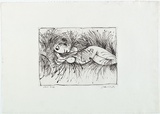 Artist: b'BOYD, Arthur' | Title: b'Nude in cornfield.' | Date: 1962 | Technique: b'etching, printed in black ink, from one plate' | Copyright: b'Reproduced with permission of Bundanon Trust'