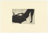 Artist: b'Williams, Deborah.' | Title: b'not titled [dogs fighting]' | Date: 1993 | Technique: b'etching, printed in black ink, from one plate'