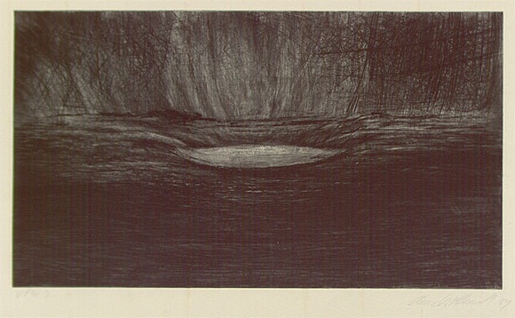 Artist: b'McDermott, Anne.' | Title: b'not titled [landscape with pool]' | Date: 1989 | Technique: b'drypoint, from copper plate, printed in black ink with plate-tone, from one plate'