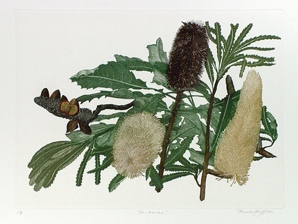 Artist: b'GRIFFITH, Pamela' | Title: b'Banksias' | Date: 1989 | Technique: b'hardground-etching and aquatint, printed in black ink, from one copper plate' | Copyright: b'\xc2\xa9 Pamela Griffith'