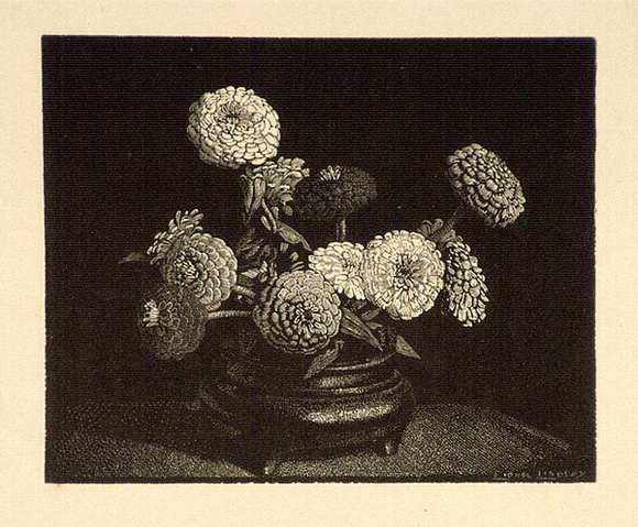 Artist: b'LINDSAY, Lionel' | Title: b'Zinnias' | Date: 1924 | Technique: b'wood-engraving, printed in black ink, from one block' | Copyright: b'Courtesy of the National Library of Australia'