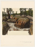 Artist: b'Rose, David.' | Title: b'Drawing the bush at Ourimbah' | Date: 1985 | Technique: b'screenprint, printed in colour, from multiple stencils'