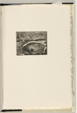Artist: Keeling, David. | Title: not titled. | Date: 1986 | Technique: etching | Copyright: This work appears on screen courtesy of the artist and copyright holder
