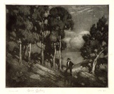 Artist: b'LINDSAY, Lionel' | Title: b'Gums in moonlight' | Date: 1911 | Technique: b'mezzotint and etching, printed in black ink, from one plate' | Copyright: b'Courtesy of the National Library of Australia'