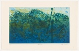 Artist: b'Warren, Guy.' | Title: b'Blue forest' | Date: 2006 | Technique: b'etching and aquatint, printed in colour, from multiple plates'