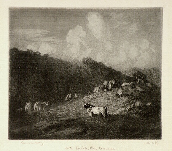 Artist: b'LINDSAY, Lionel' | Title: b'Kosciusko The bull calls on the Perisher range, Kosciusko' | Date: 1925 | Technique: b'spirit-aquatint, printed in black ink, from one plate' | Copyright: b'Courtesy of the National Library of Australia'