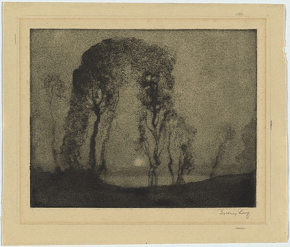 Artist: b'LONG, Sydney' | Title: b'Pastoral sandgrain' | Date: 1918 | Technique: b'aquatint, sandgrain etching from one copper plate' | Copyright: b'Reproduced with the kind permission of the Ophthalmic Research Institute of Australia'