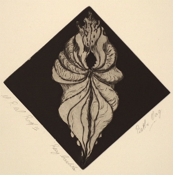 Artist: b'OAG, Beth' | Title: b'Rosy Cardita' | Date: 1989 - 2002 | Technique: b'etching, printed in black ink with plate-tone, from one plate'