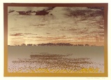 Artist: b'Cole-Adams, Brigid.' | Title: b'not titled.' | Date: 1974 | Technique: b'screenprint, printed in colour, from five stencils'