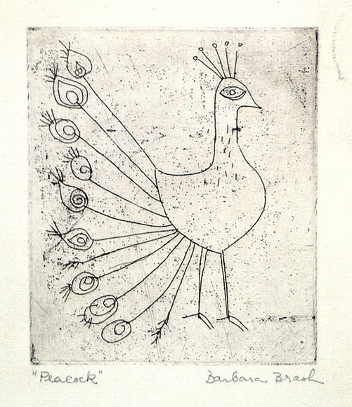 Artist: b'Brash, Barbara.' | Title: b'Peacock.' | Date: 1950s | Technique: b'etching and aquatint, printed in black ink, from one plate'