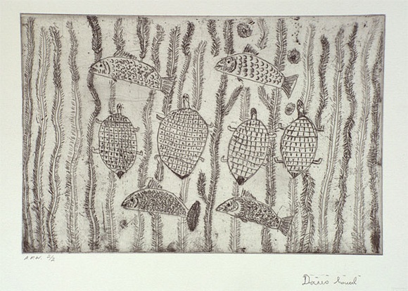 Artist: b'Laurel, Doris Jayirtna.' | Title: b'Food from the river, barramundi and turtle' | Date: 2001, August - September | Technique: b'etching, printed in black ink, from one plate'