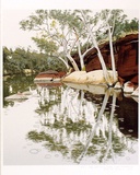 Artist: ROSE, David | Title: Rain at Ellery Creek, Central Australia | Date: 1989 | Technique: screenprint, printed in colour, from multiple stencils
