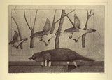 Artist: Gatiss, David. | Title: Lindas platypus | Date: 1982 | Technique: photo-etching and aquatint, printed in warm black ink, from one plate