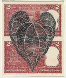 Artist: HALL, Fiona | Title: Piper longum - Long pepper (Indian currency) | Date: 2000 - 2002 | Technique: gouache | Copyright: © Fiona Hall