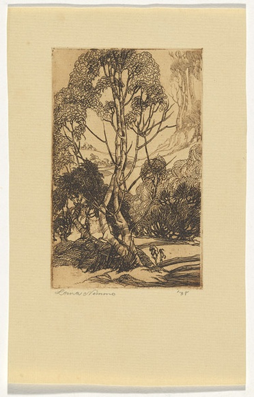 Artist: b'Nimmo, Lorna.' | Title: b'Trees' | Date: 1938 | Technique: b'etching, printed in brown ink with plate-tone, from one copper plate'