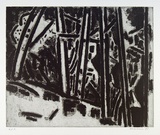 Artist: MAKIN, Jeffrey | Title: Woodend | Date: 1981 | Technique: etching and aquatint, printed in black ink with plate-tone, from one plate
