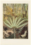 Artist: b'McMahon, Marie.' | Title: b'not titled' | Date: 1988 | Technique: b'offset-lithograph, printed in colour, from three process colour plus black' | Copyright: b'\xc2\xa9 Marie McMahon. Licensed by VISCOPY, Australia'