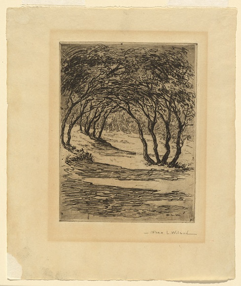 Artist: b'Wilson, Dora.' | Title: b'Ti tree shade.' | Date: c.1905 | Technique: b'etching, printed in black ink, from one plate'