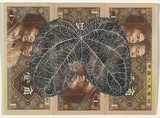 Artist: HALL, Fiona | Title: Bauhinia glauca (Chinese currency) | Date: 2000 - 2002 | Technique: gouache | Copyright: © Fiona Hall