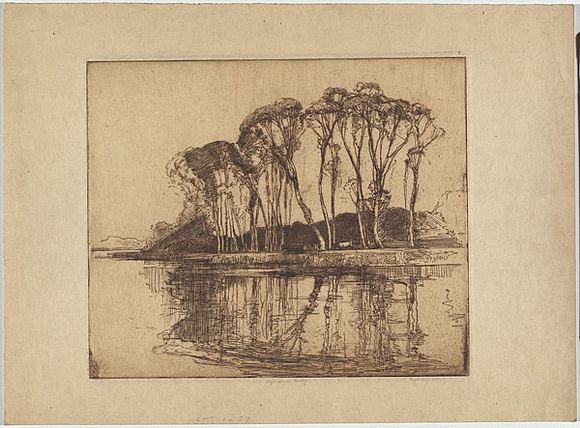 Artist: b'LONG, Sydney' | Title: b'Reflections, Avoca' | Date: (1928) | Technique: b'line-etching, printed in brown ink from one zinc plate' | Copyright: b'Reproduced with the kind permission of the Ophthalmic Research Institute of Australia'