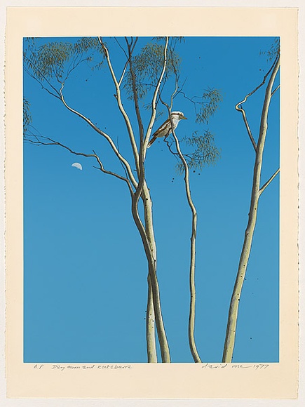 Artist: b'ROSE, David' | Title: b'Day moon and kookaburra' | Date: 1977 | Technique: b'screenprint, printed in colour, from multiple stencils'