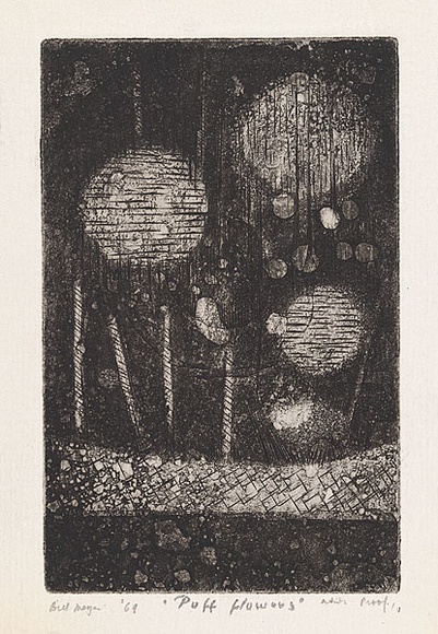 Artist: b'MEYER, Bill' | Title: b'Puff flowers' | Date: 1969 | Technique: b'etching and aquatint, printed in black ink, from one plate' | Copyright: b'\xc2\xa9 Bill Meyer'