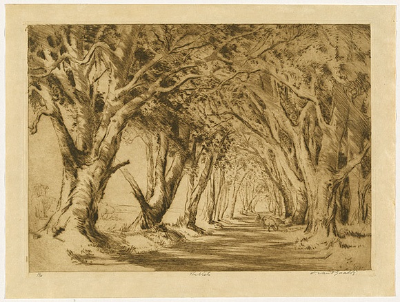 Artist: b'van RAALTE, Henri' | Title: b'The vista' | Date: c.1919 | Technique: b'drypoint, printed in brown ink, from one plate'